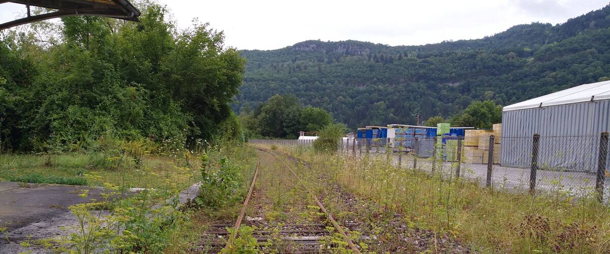 Railway tracks surrounded by vegetation and a mountainous landscape in the background.