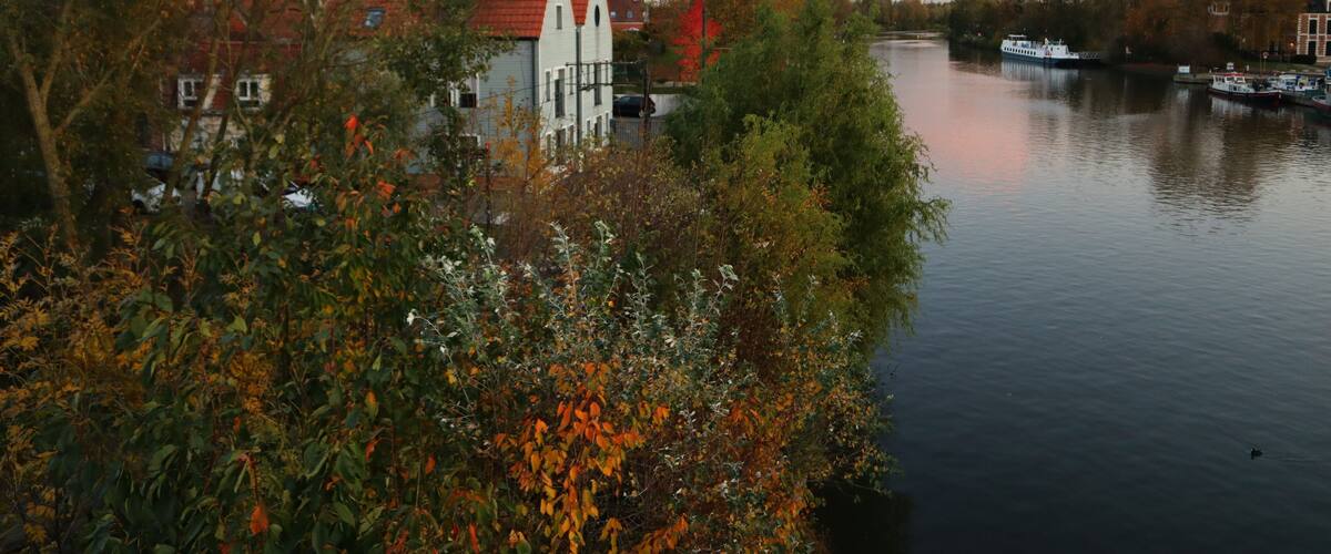 Vue du canal de la Seule à Wambrechies