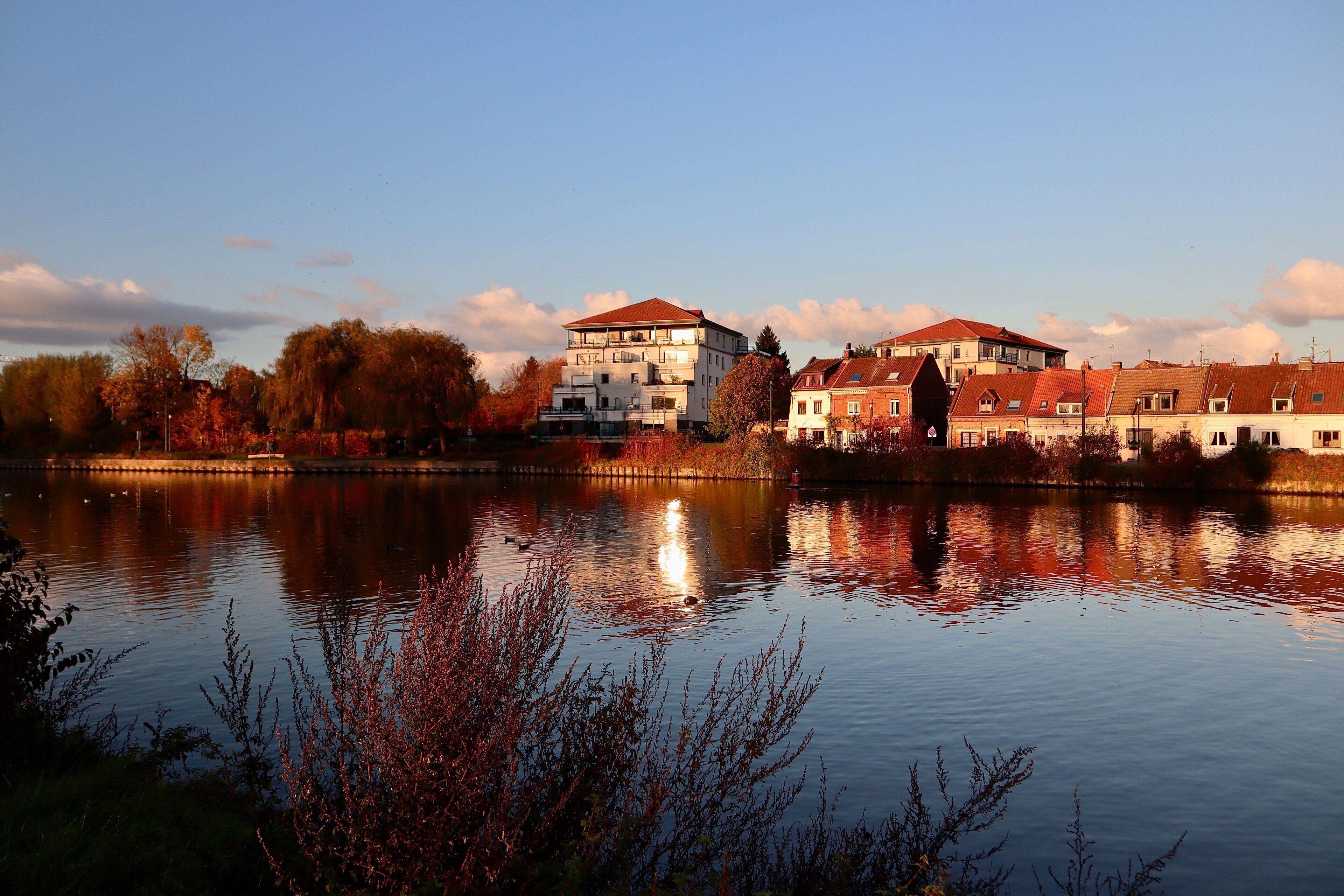 A calm river with buildings reflecting in the water, surrounded by autumn trees.