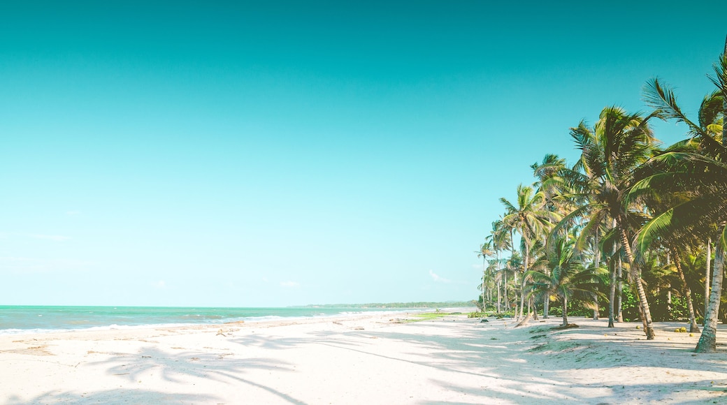 A beach with white sand and palm trees under a clear blue sky.