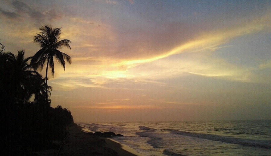 Why are sunsets so soothing? And in Palomino you'll see them like nowhere else #AquaTrove
#nature