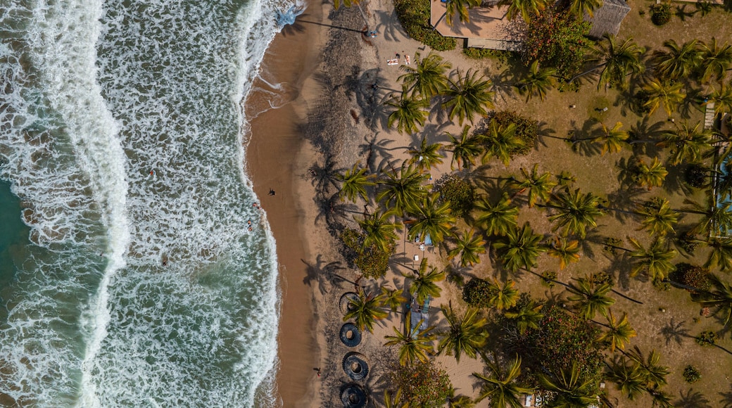 A beach with waves, palm trees, and a building with an orange roof.
