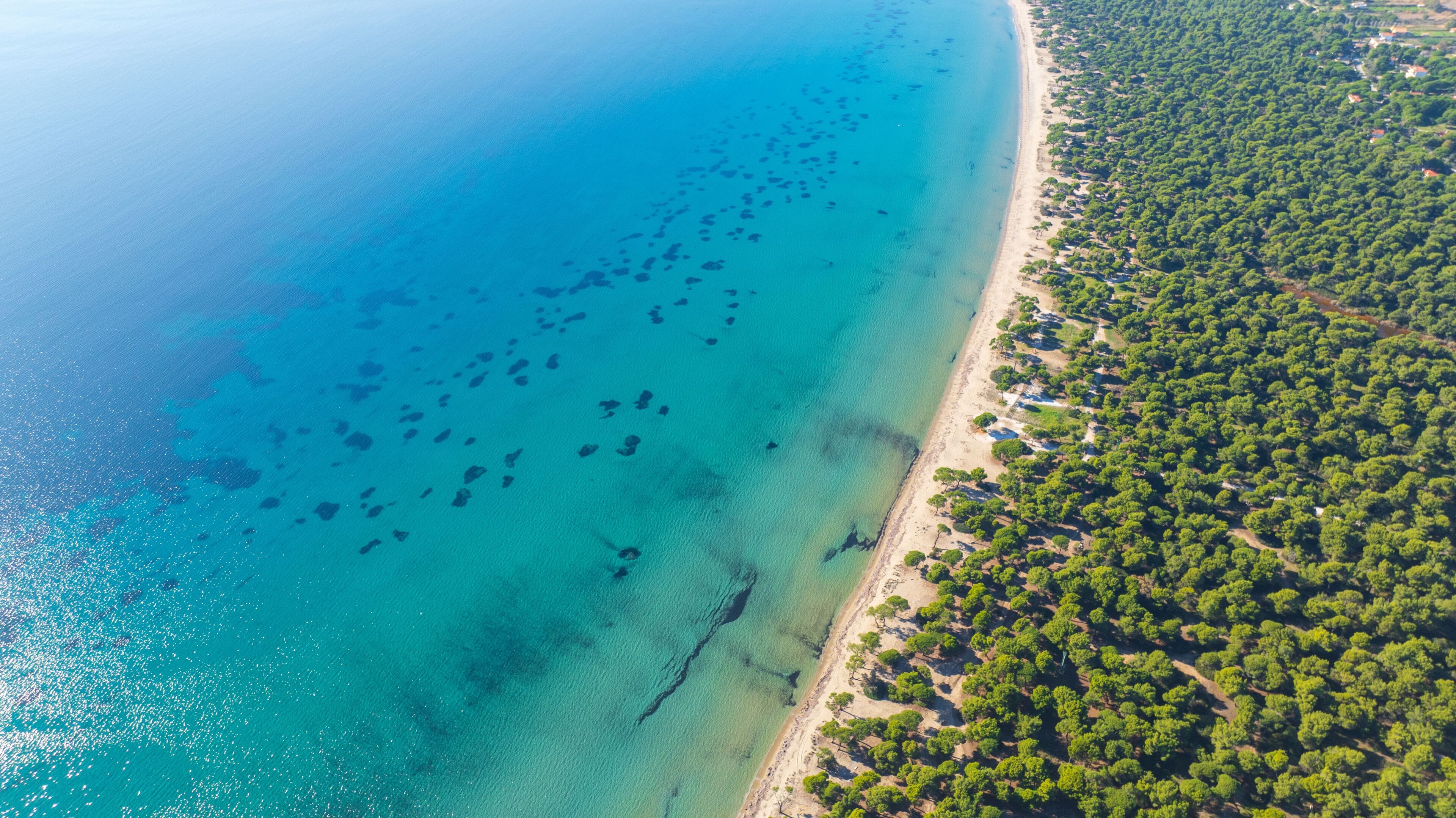 Un paysage côtier caractérisé par une mer bleue et limpide, une plage de sable et une zone densément boisée.