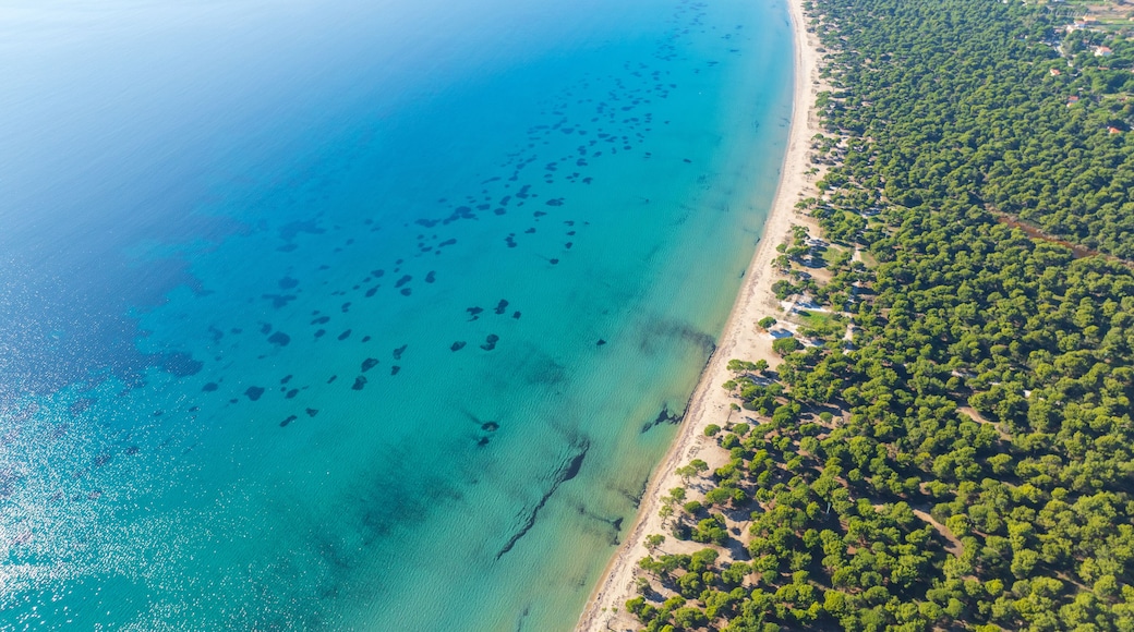 Un paysage cÎtier caractérisé par une mer bleue et limpide, une plage de sable et une zone densément boisée.