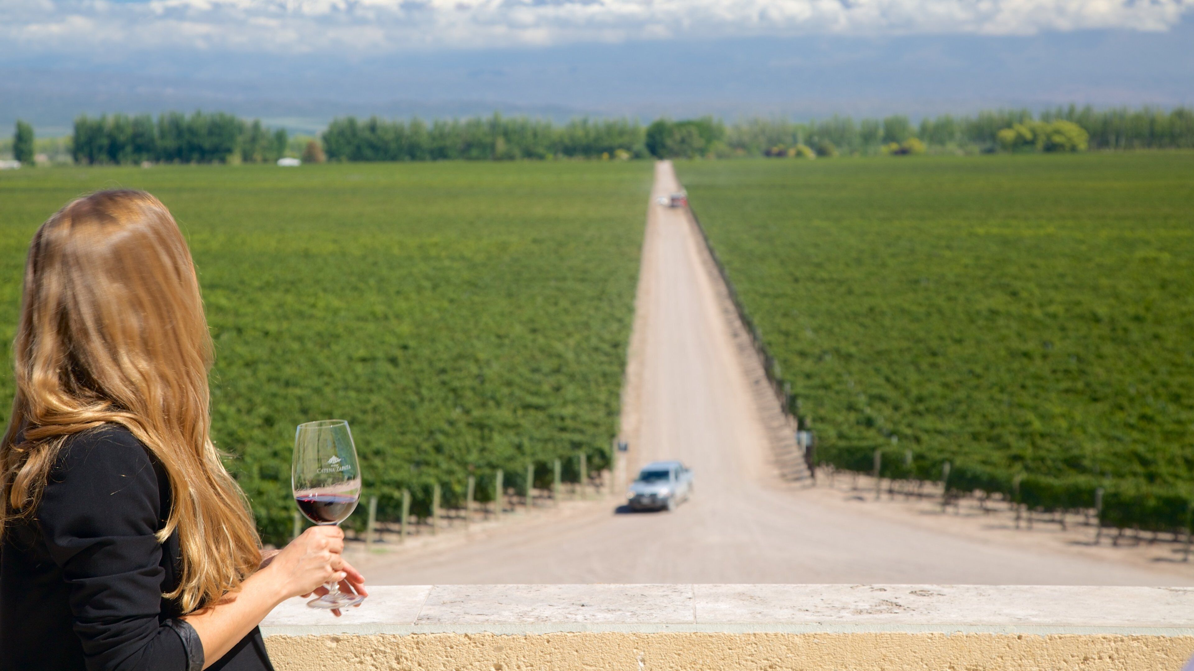 Catena Zapata Winery showing drinks or beverages and views as well as an individual femail