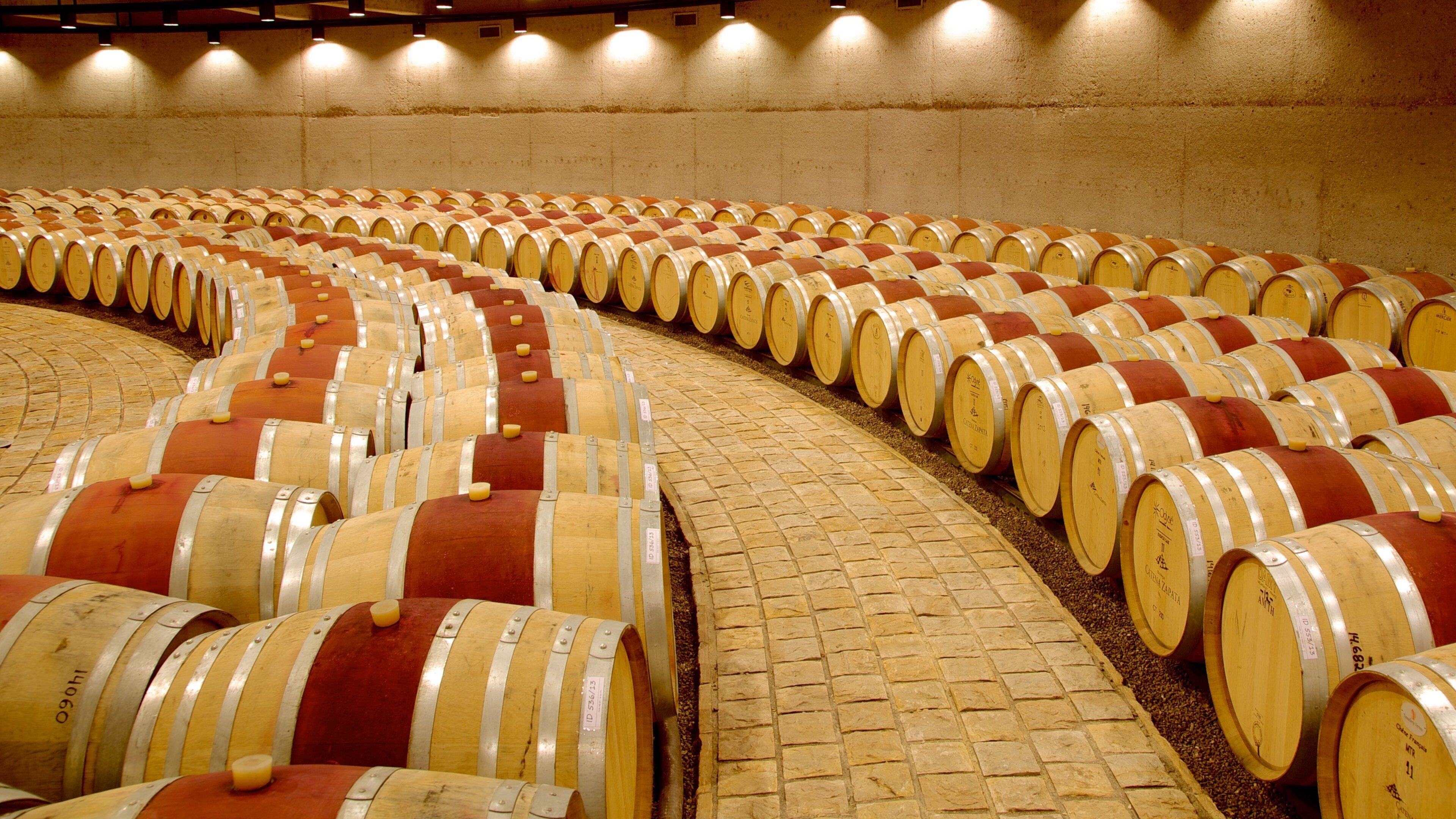 Catena Zapata Winery which includes interior views