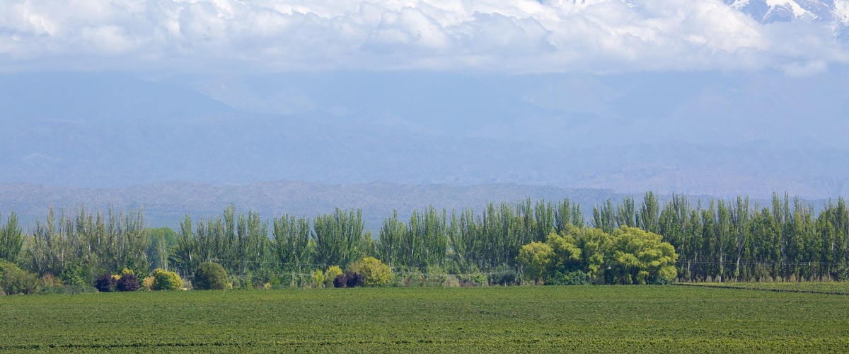 Catena Zapata Winery showing snow and mountains