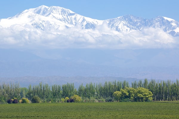Catena Zapata Winery showing snow and mountains