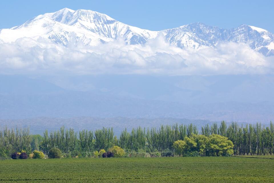 Une chaîne de montagnes aux sommets enneigés, un champ de cultures verdoyantes et une rangée d’arbres.