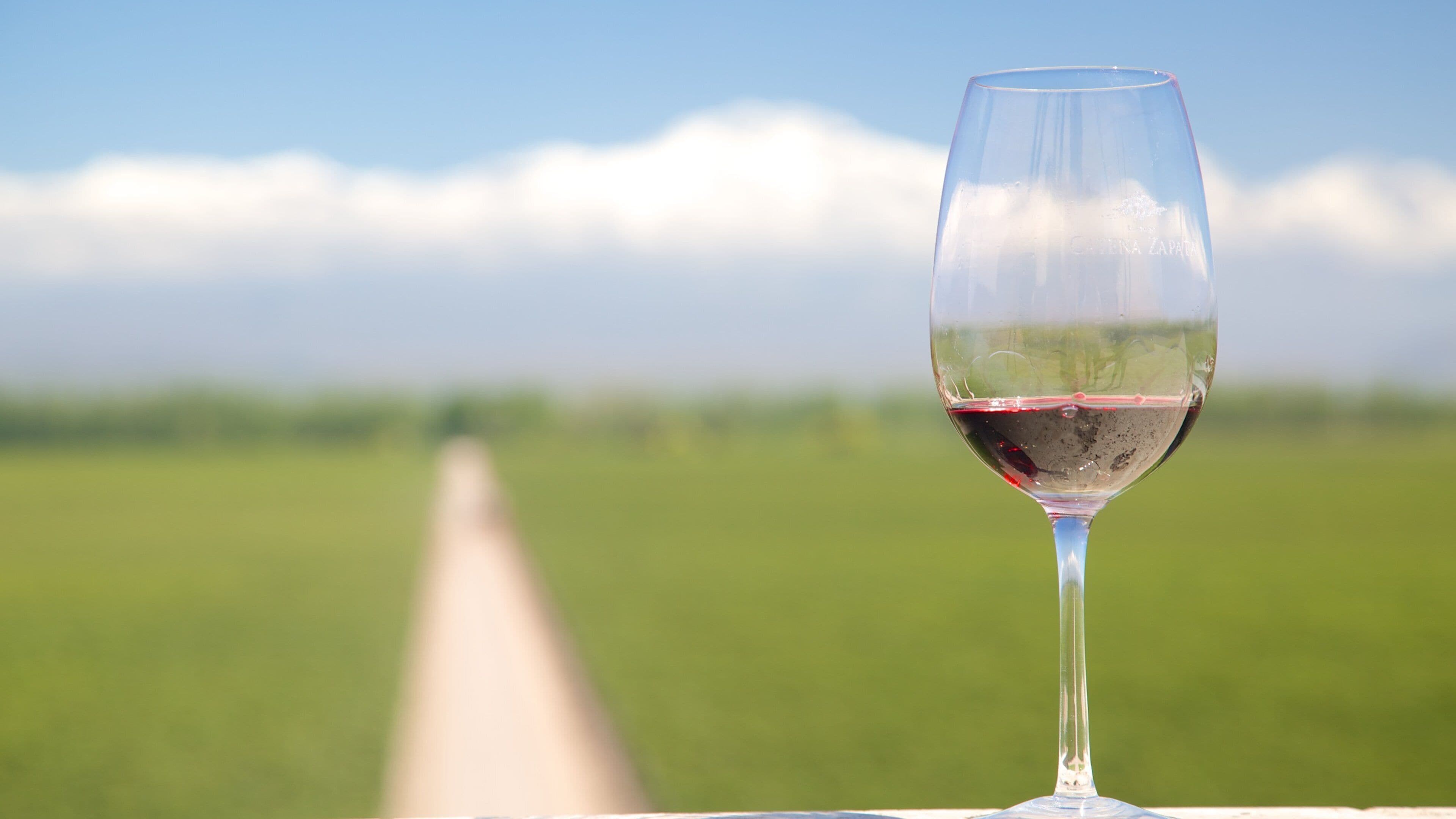 Catena Zapata Winery which includes drinks or beverages