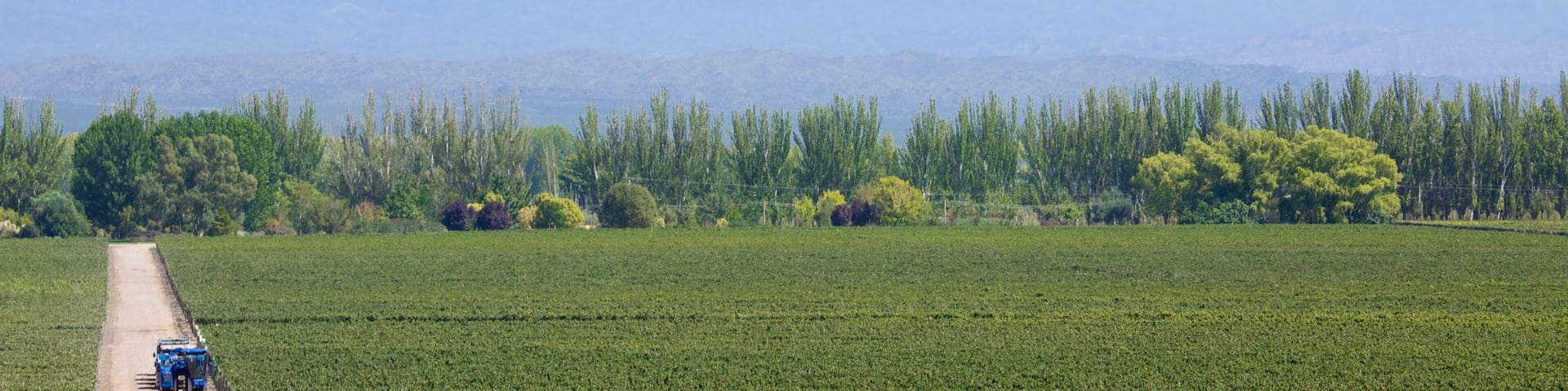 Catena Zapata Winery which includes snow and mountains