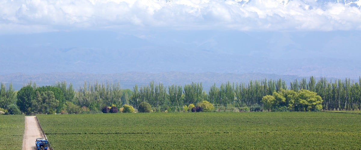A tractor in a field with a mountain range in the background.