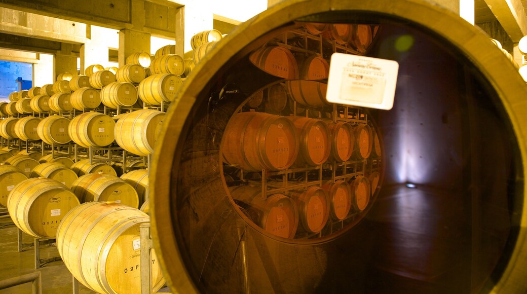 Navarro Correas Winery featuring interior views