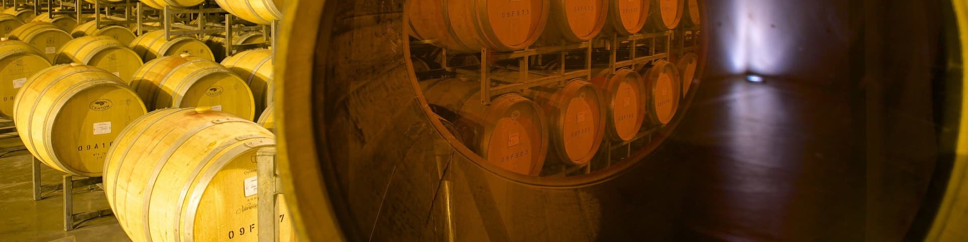 Navarro Correas Winery featuring interior views