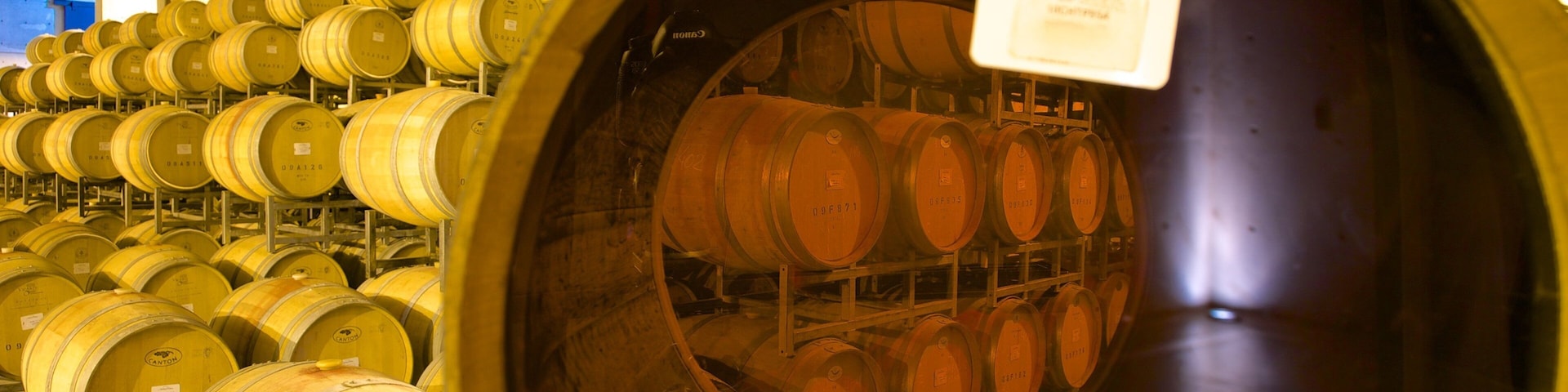 Bodega Navarro Correas mostrando vistas internas