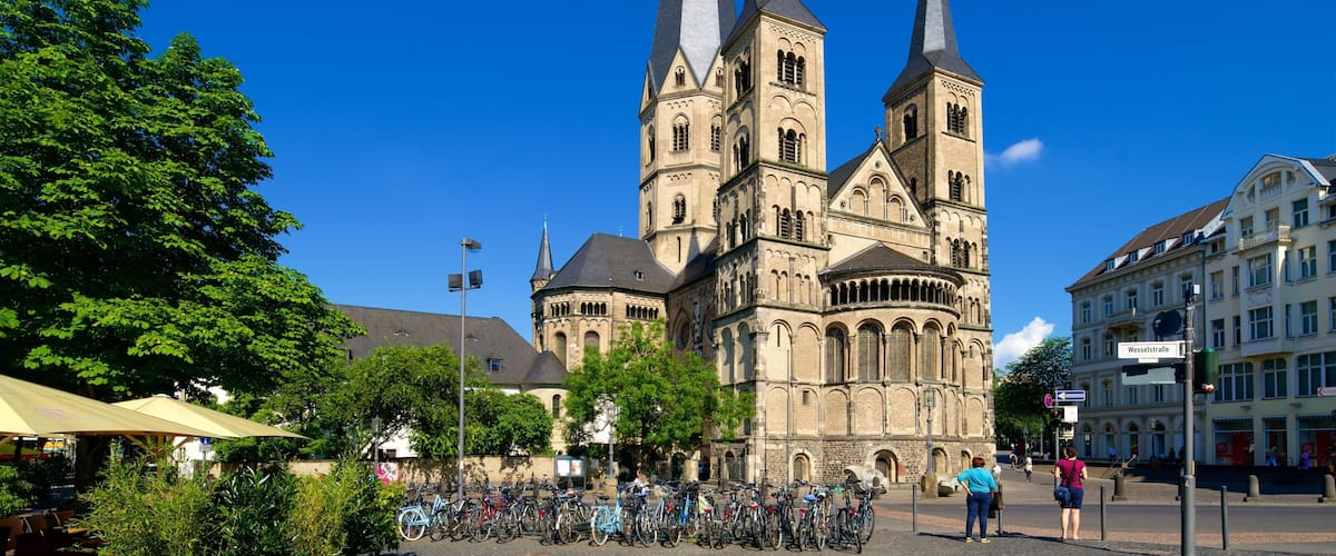 Bonn Minster ofreciendo una iglesia o catedral y patrimonio de arquitectura