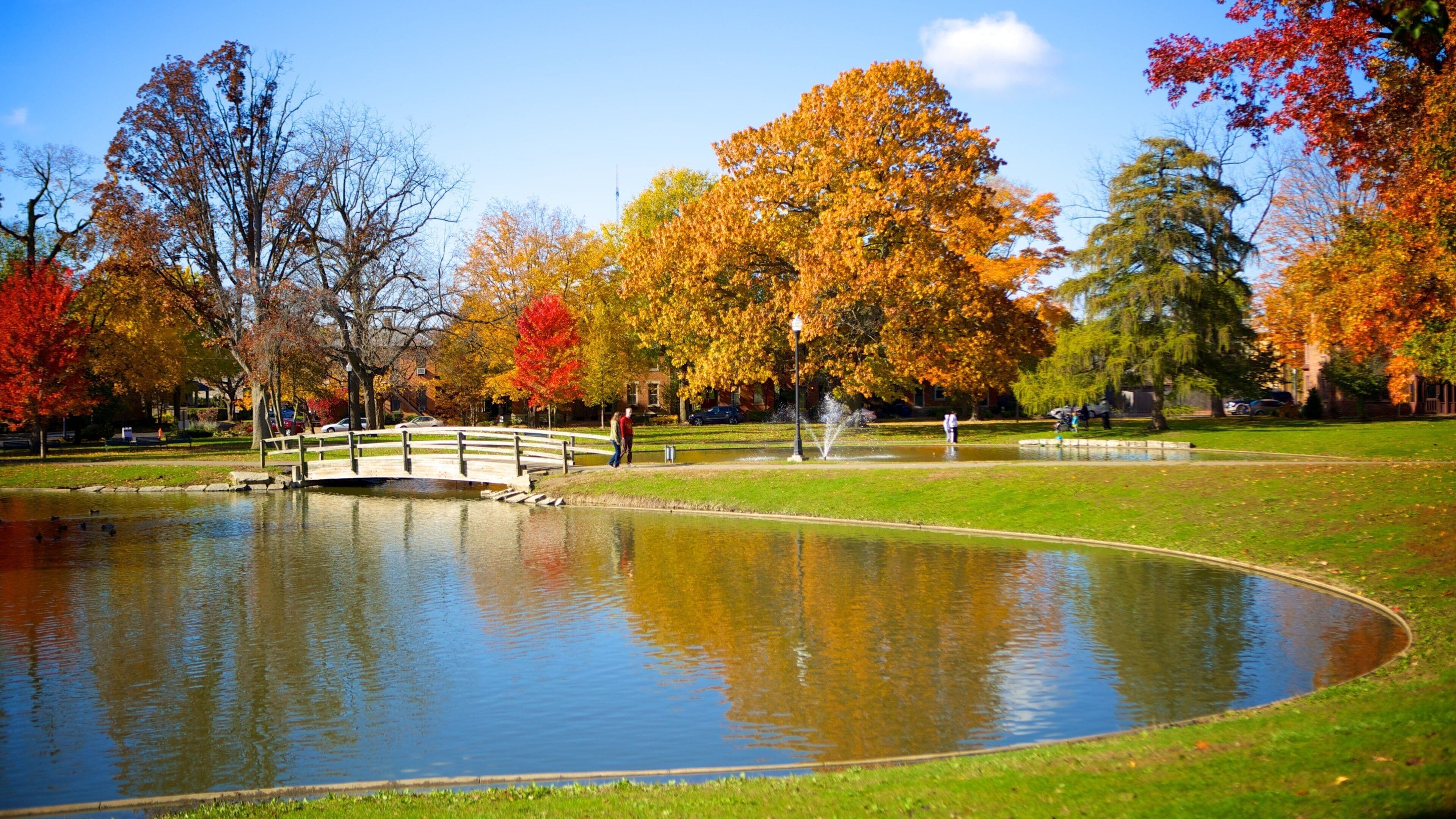 Schiller Park featuring a garden, a bridge and autumn leaves