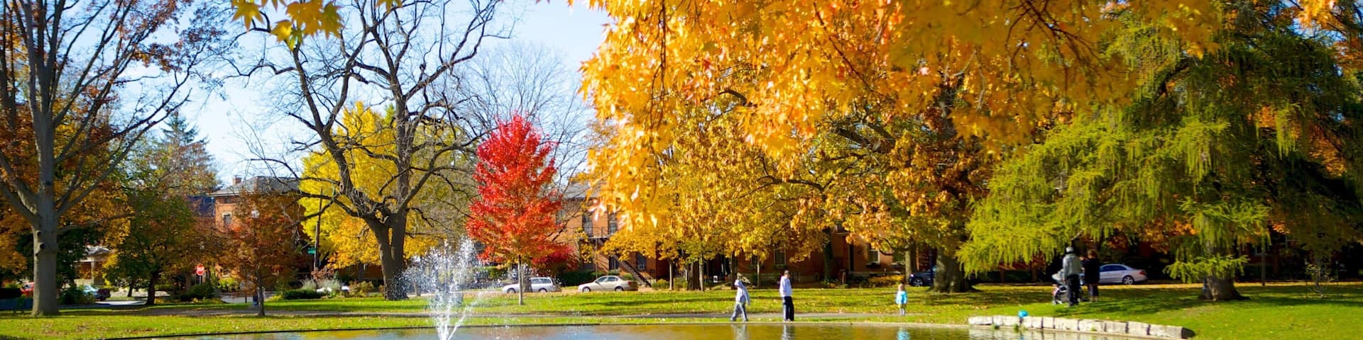 Schiller Park showing a pond, autumn leaves and a park