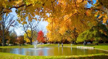 Schiller Park showing a pond, autumn leaves and a park