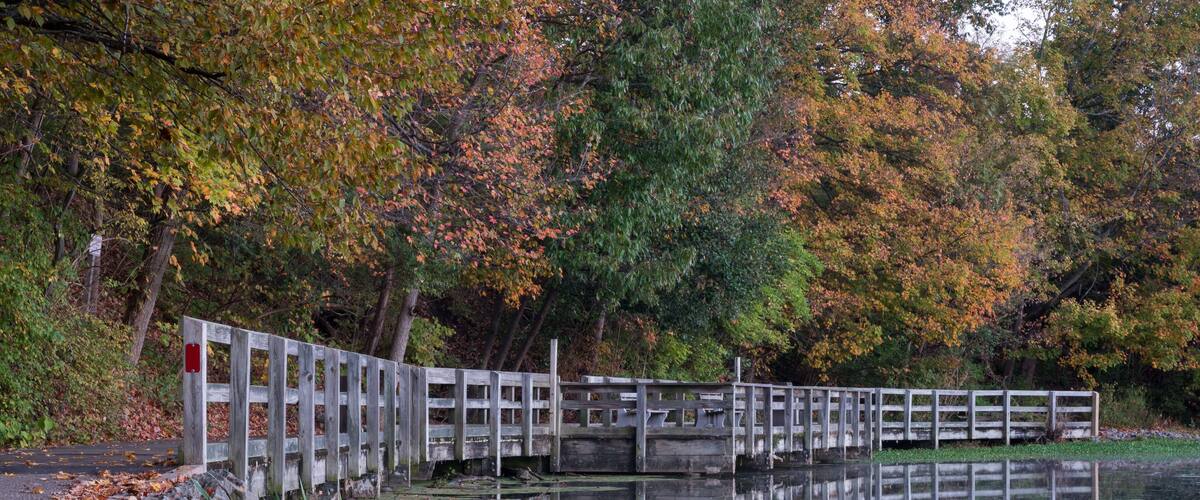 sharon woods park reflection cincinnati