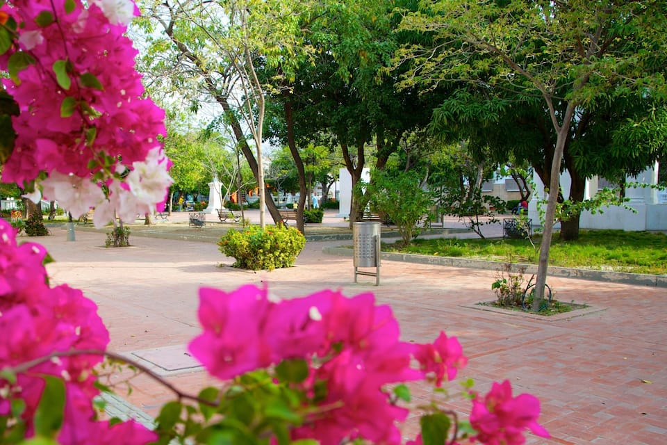 A park with pink flowers, trees, and a paved walkway.