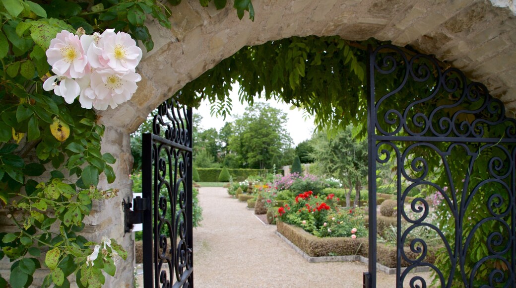 Chateau de Pommard which includes wildflowers and a garden