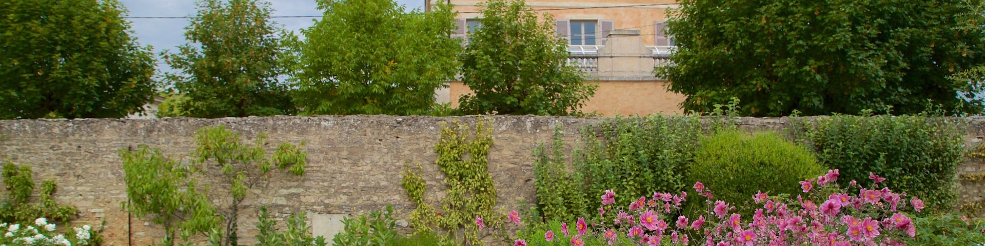 Castillo de Pommard que incluye una casa y flores salvajes