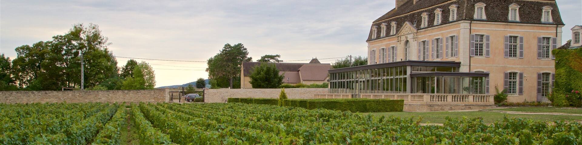 Château de Pommard montrant maison et ferme