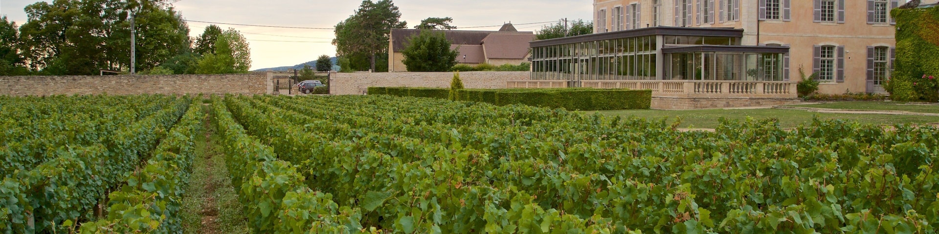 Chateau de Pommard caracterizando fazenda e uma casa