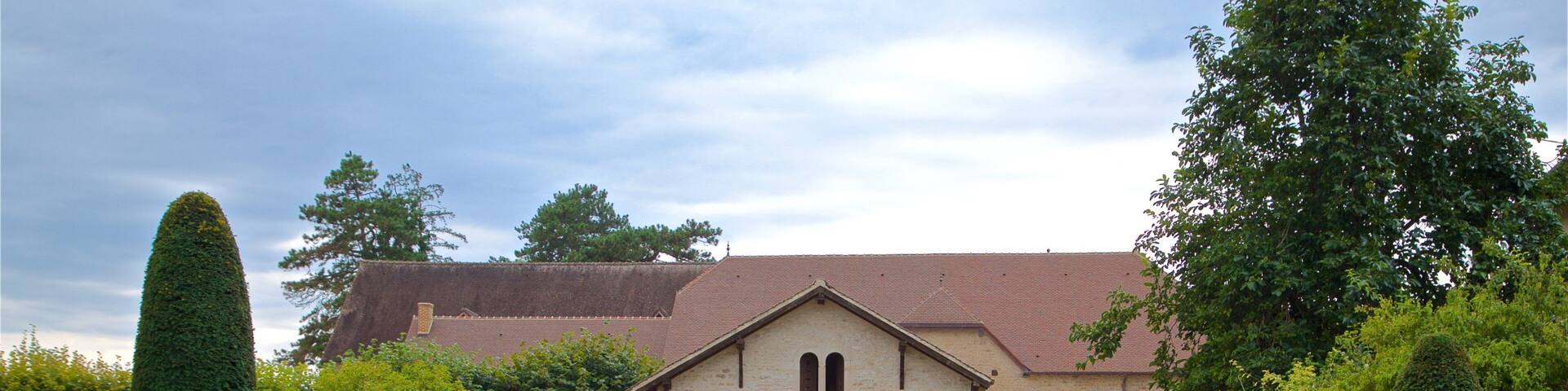Chateau de Pommard showing a garden and a house