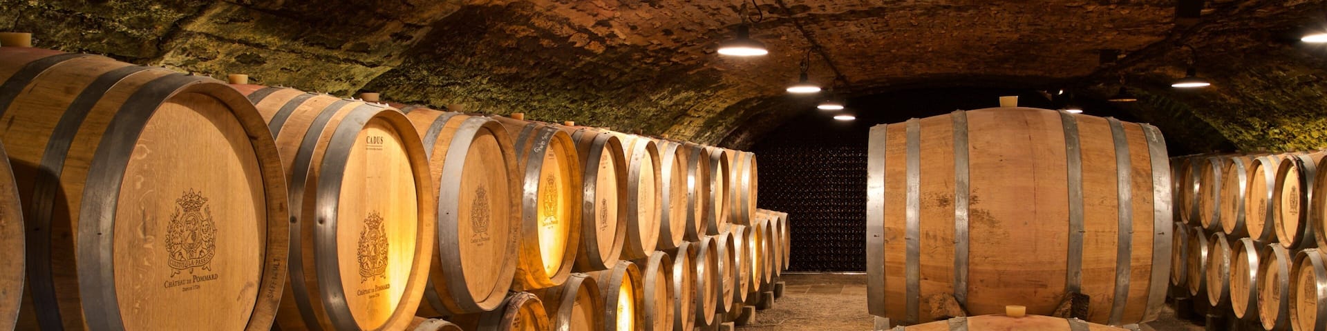 A cellar with rows of wooden wine barrels.