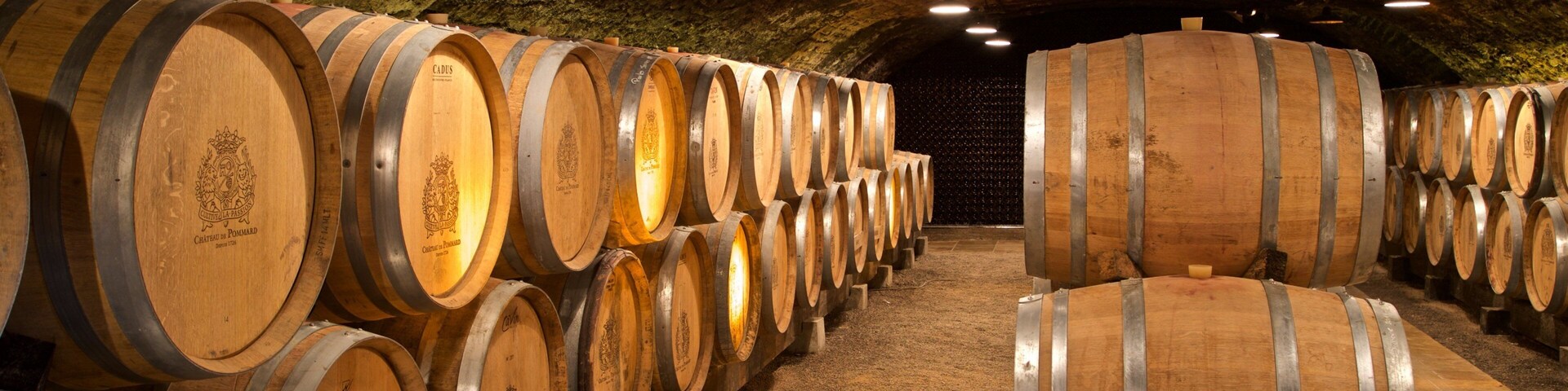A cellar with rows of wooden wine barrels.