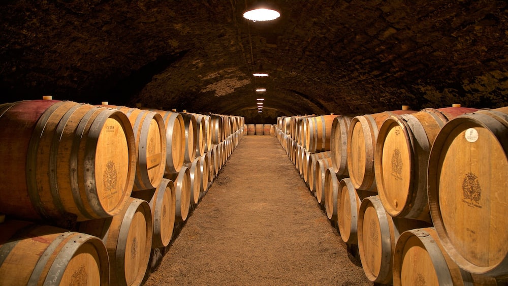 Chateau de Pommard which includes interior views