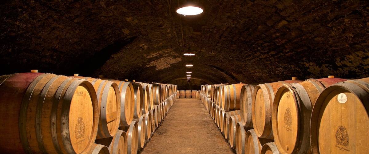 Chateau de Pommard which includes interior views