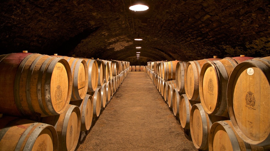 Chateau de Pommard which includes interior views