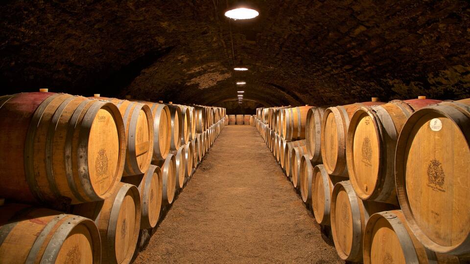 A tunnel lined with wooden wine barrels.