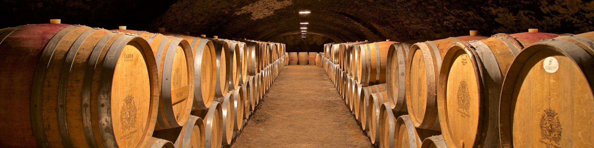 Chateau de Pommard which includes interior views