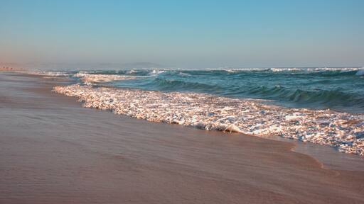 olas del mar en la orilla de la playa en la tarde