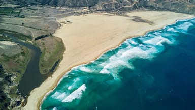 An aerial drone view over Tunquen Beach in Valparaiso region and close to Algarrobo, an awesome beach with a lot of wildlife because of it wetlands and turquoise waters, an idyllic travel destination