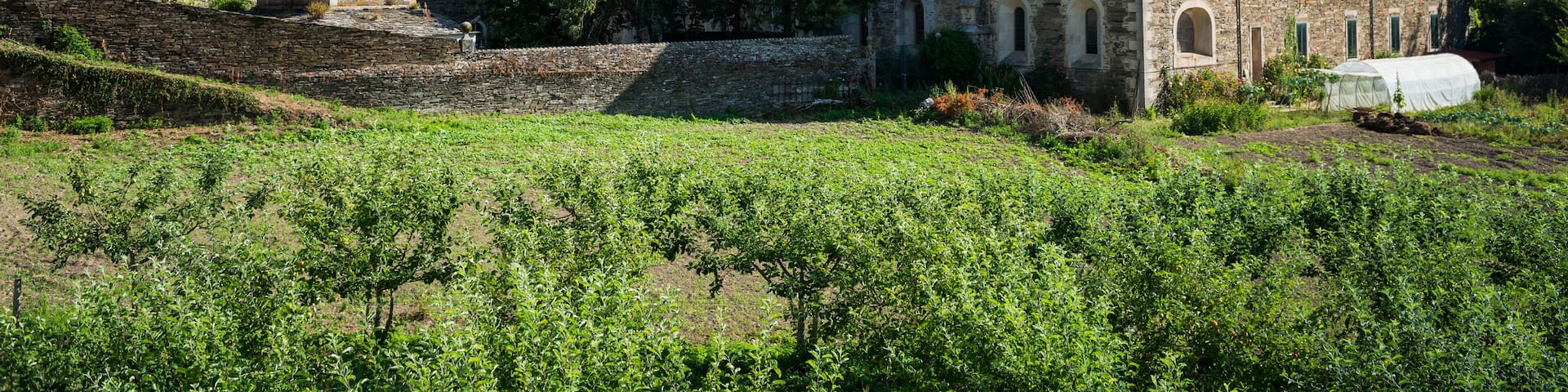 Monastery of Samos, an important monastery and important crossing point of the journey of santiago