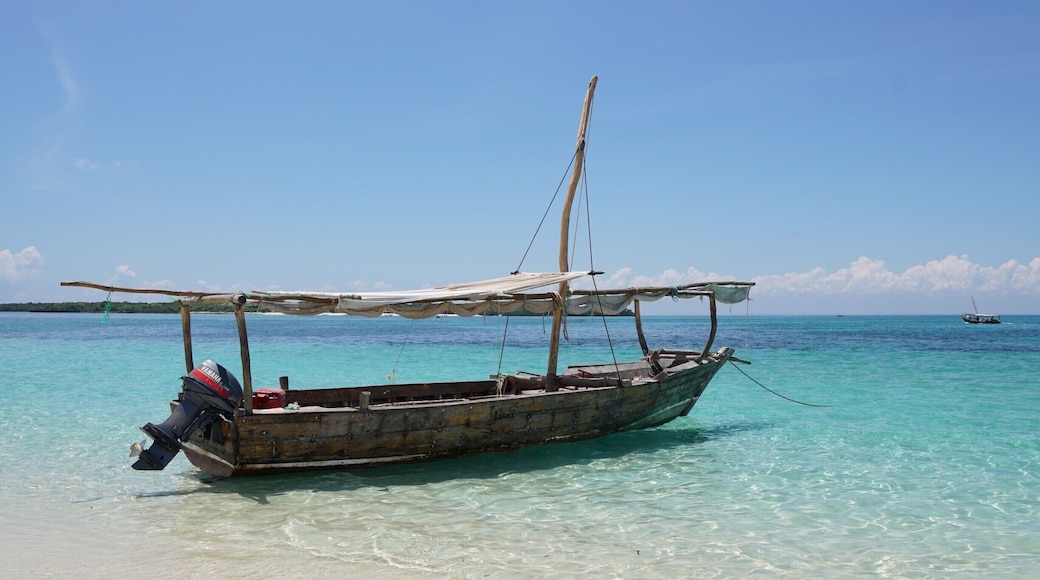 Dhows moored off the sand bank. The first stop of the morning for swimming in crystal clear waters and eating of local fresh tropical fruit.