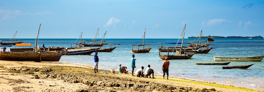 Zanzabar, Tanzania, fishing boats tied up along the shore of the Indian Ocean near Fumba.