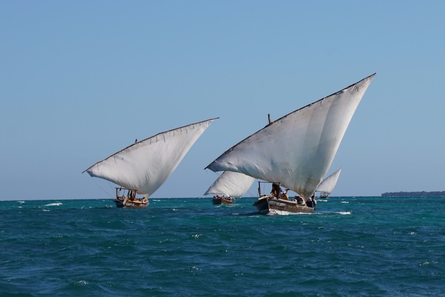 On the return trip from Menai Bay to Fumba, the sails are set on all the dhows, making for quite the sight.