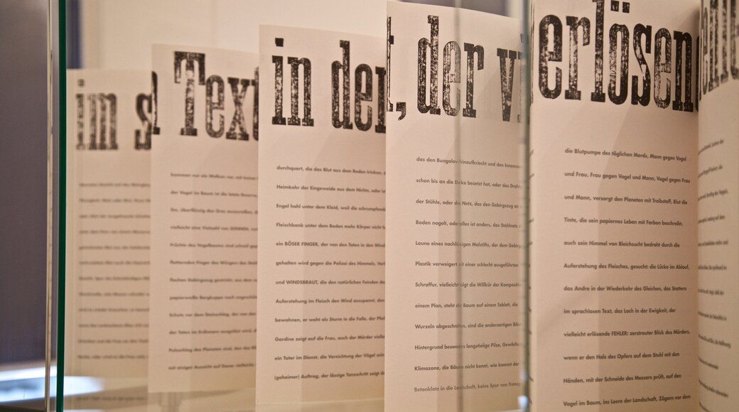 Klingspor Museum showing interior views