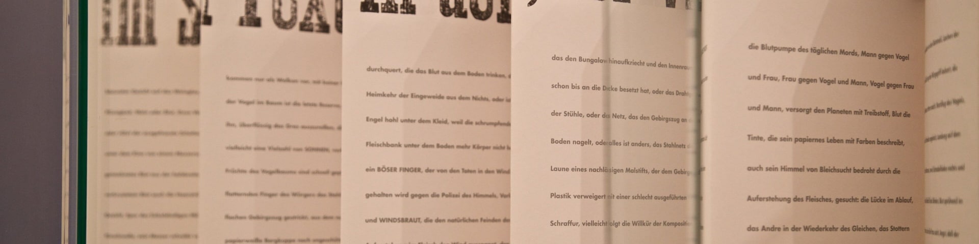 Klingspor Museum showing interior views