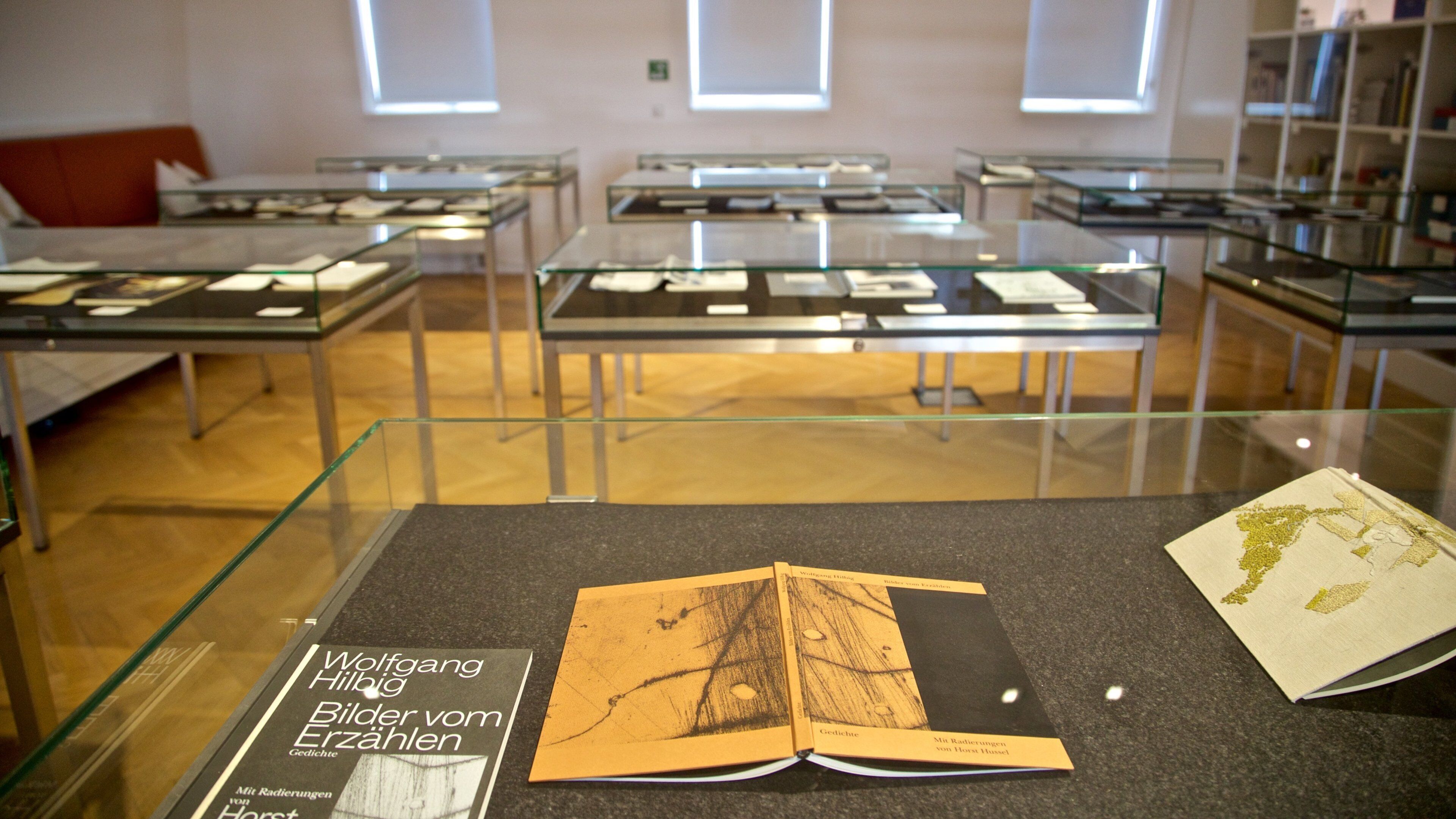 Museo Klingspor caratteristiche di vista interna