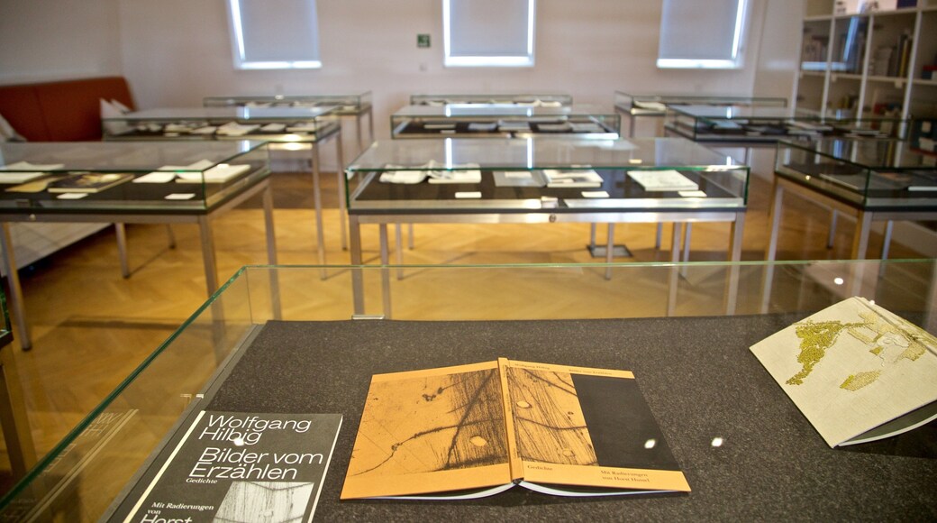 Museo Klingspor caratteristiche di vista interna