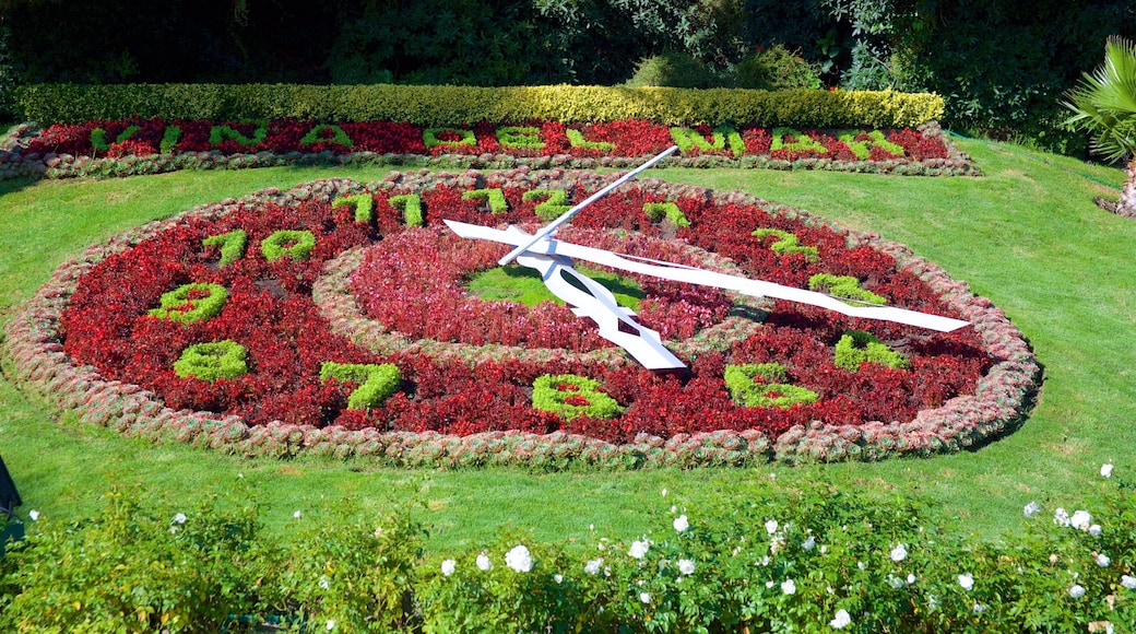 Flower Clock showing flowers and a park