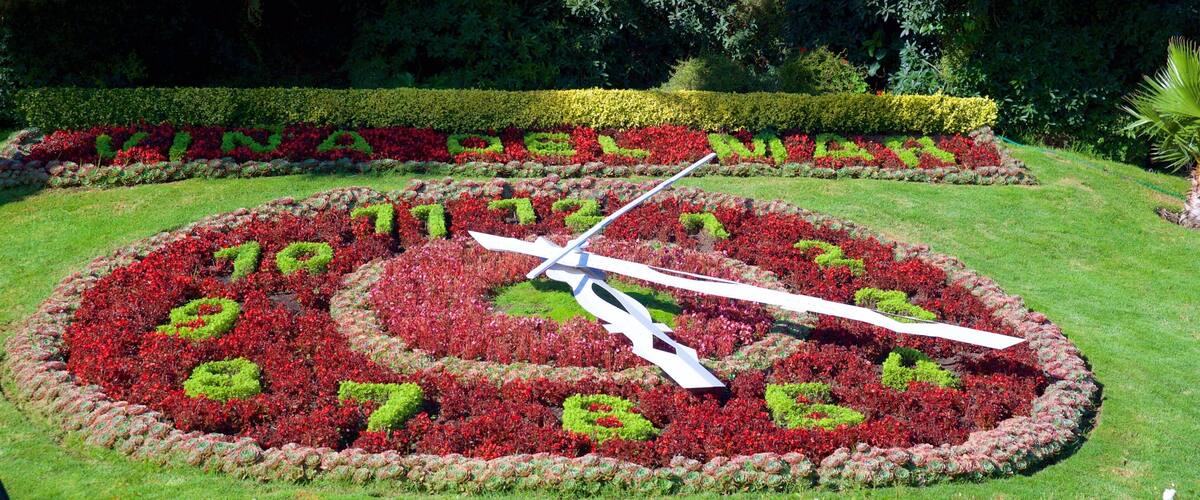 Flower Clock showing flowers and a park