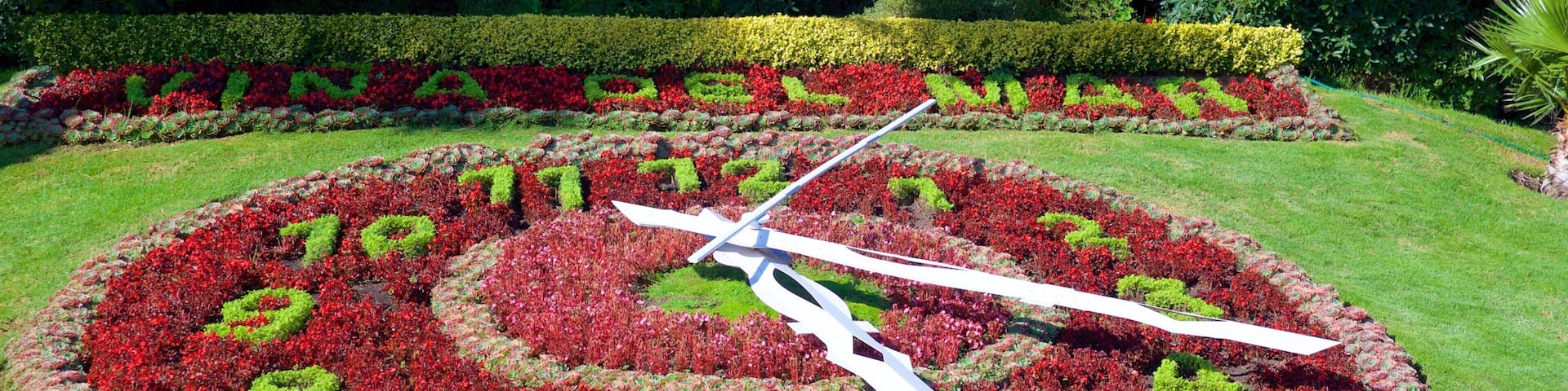 Flower Clock showing flowers and a park